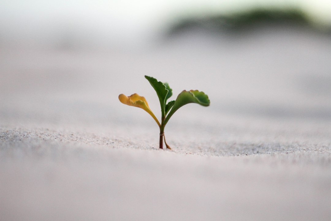 Persoonlijke groei en spirituele ontwikkeling: zo begin je de reis naar je ware zelf